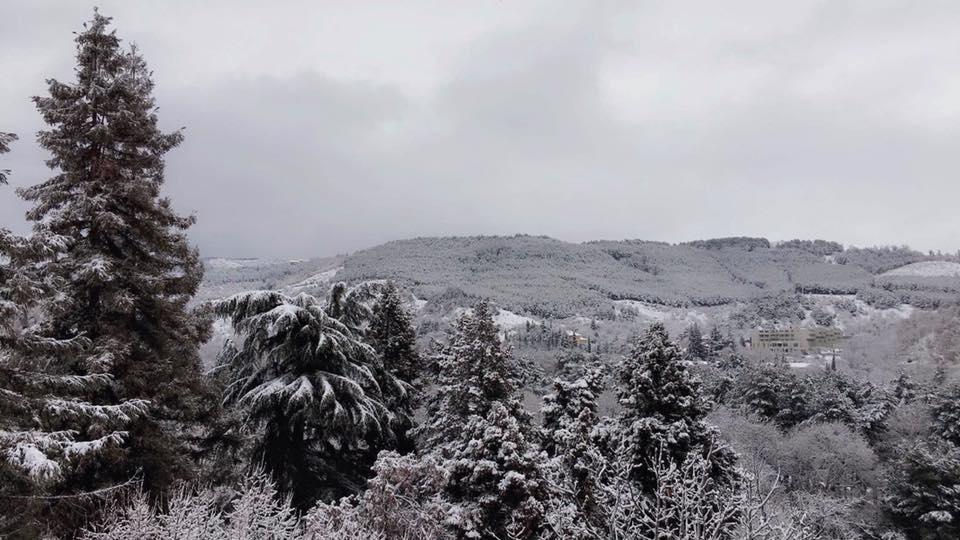 Hotel Avis Sandanski Dış mekan fotoğraf